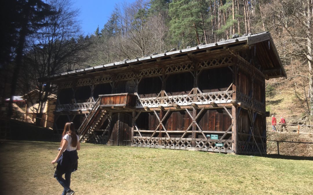 Rückblick auf unseren gemeinsamen Ausflug zum „World Wood Day 2019“