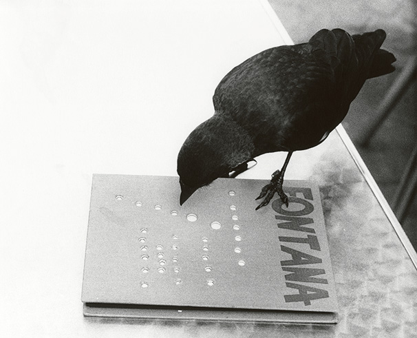 Kulturtransfair | Gemeinsamer Besuch und Führung durch die Ausstellung  Jochen Lempert | Fotos an Büchern